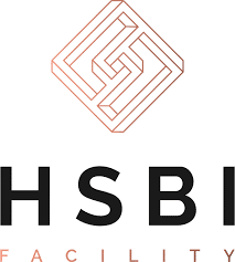 logo HSBI